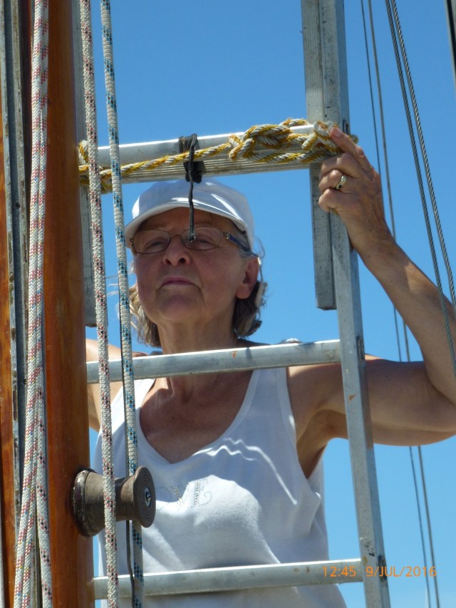 Til houdt de ladder vast